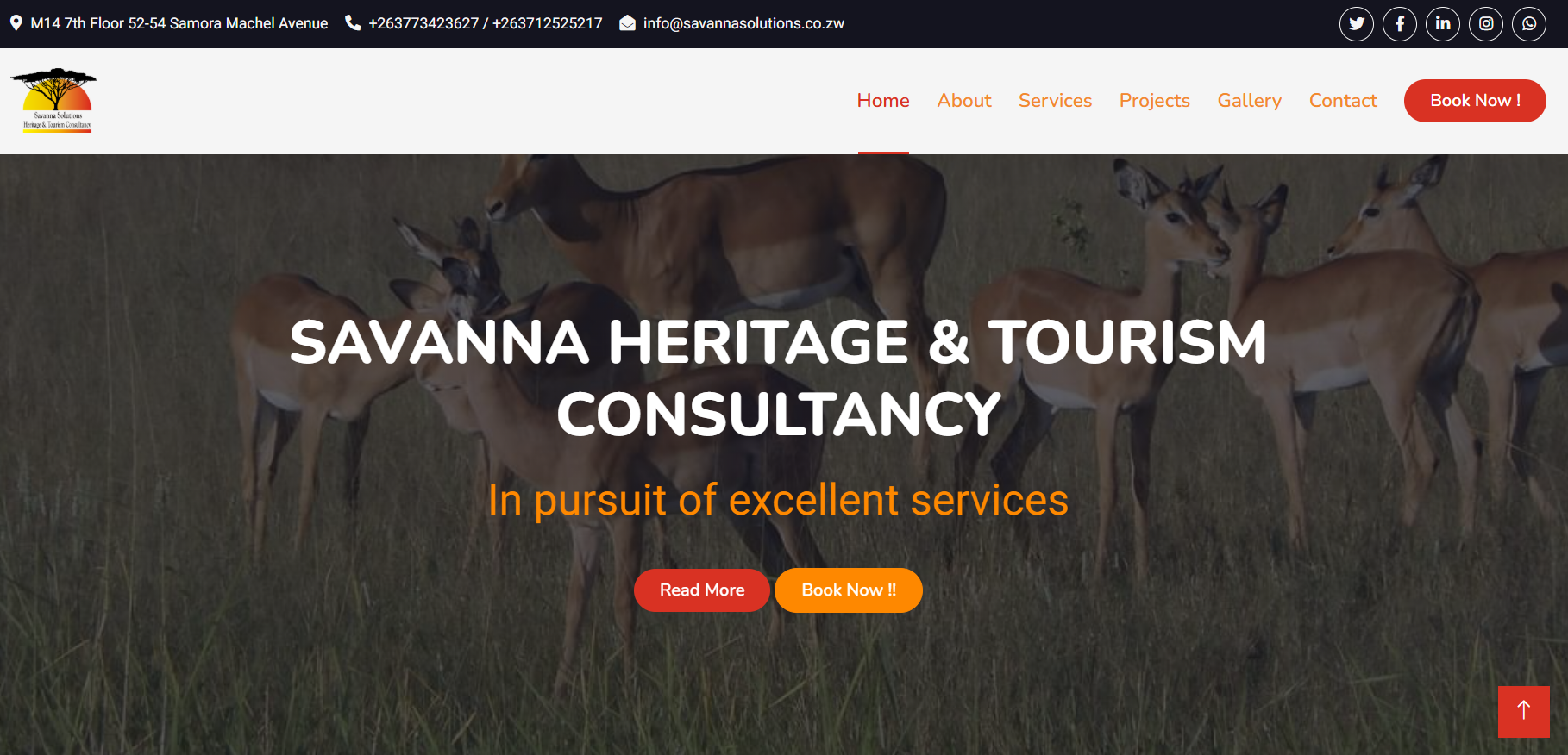 Savanna Heritage & Tourism Consultancy